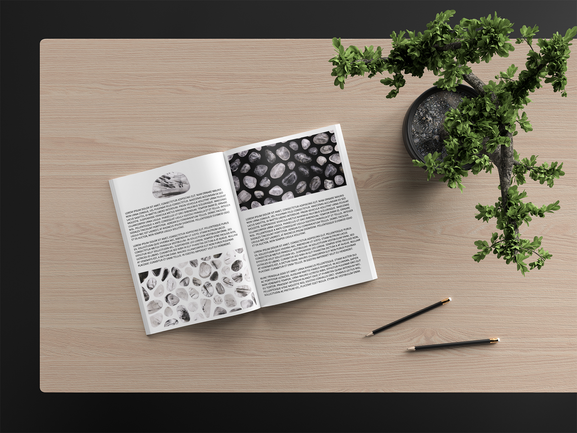 Tourmalinated Quartz Background Textures Modern Magazine Article Illustrations Preview