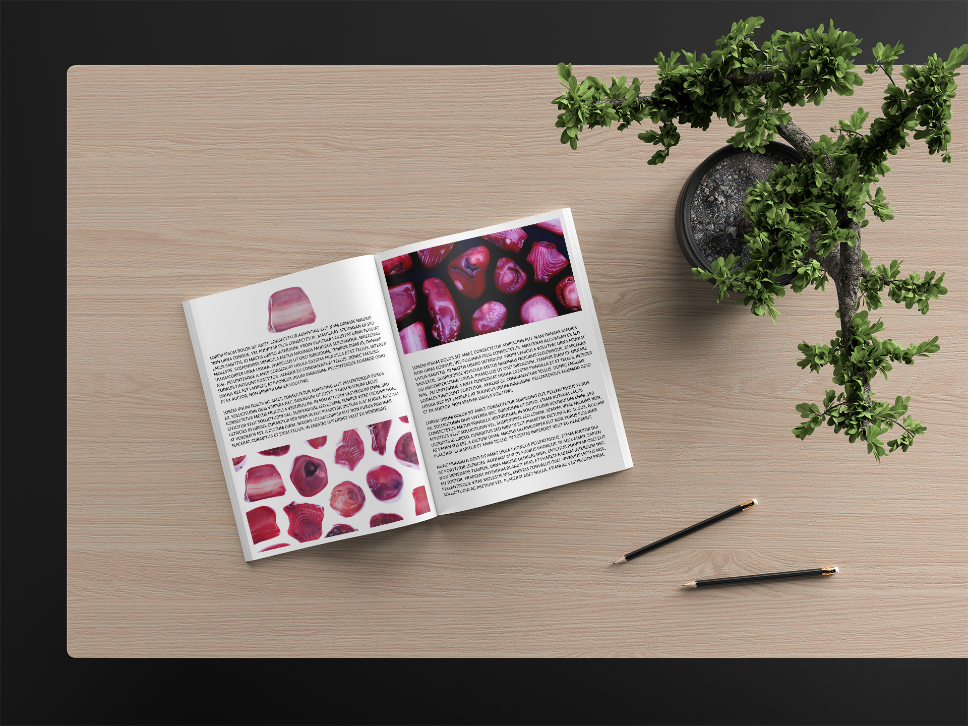 Red Coral Background Textures Modern Magazine Article Illustrations Preview