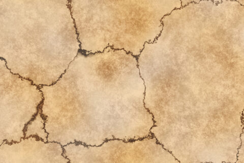 Skull Bone Background Textures