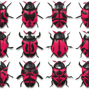 10 Beetle Collection Backgrounds Preview Set