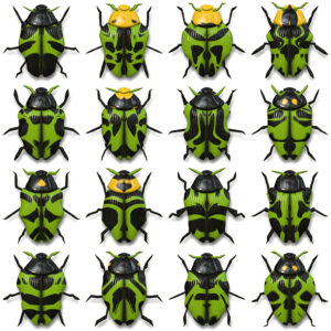 10 Beetle Collection Backgrounds Preview Set