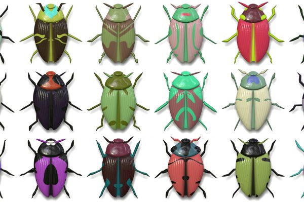 10 Beetle Collection Backgrounds Preview Set