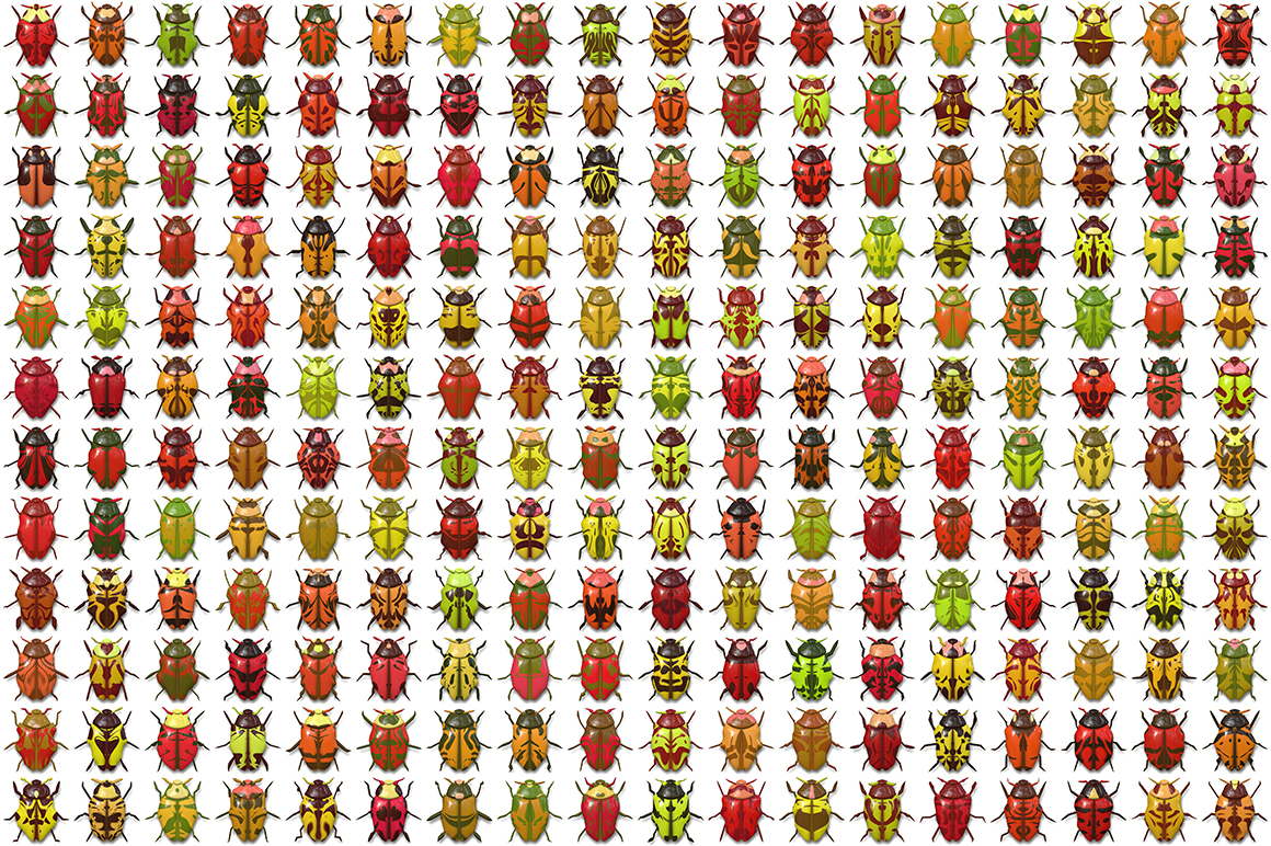 Beetle Collection Background Texture