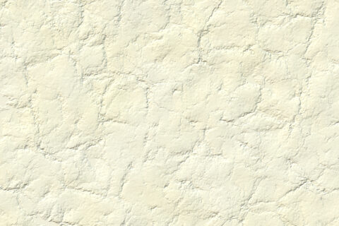 10 Skull Bone Background Textures