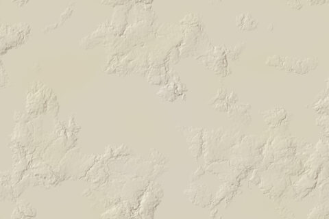 10 Skull Bone Background Textures