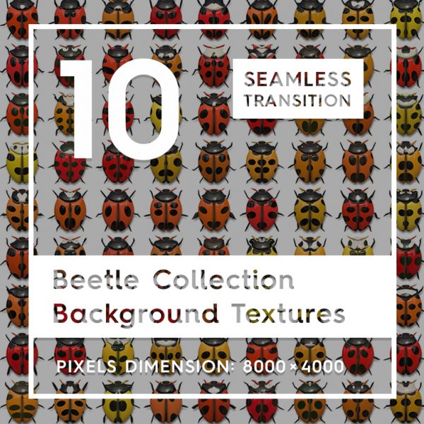10 Beetle Collection Backgrounds