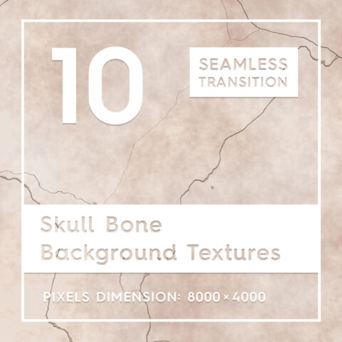 10 Skull Bone Background Textures