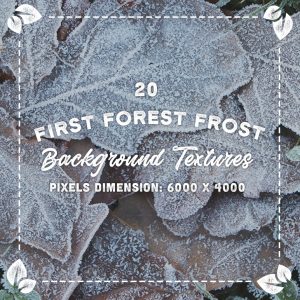 20 First Forest Frost Backgrounds