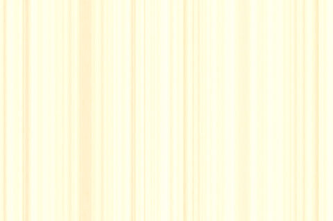 15 Light Wood Background Textures Preview Set
