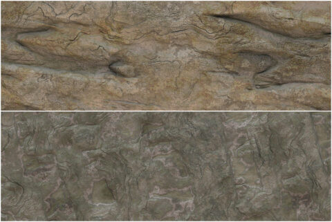 10 Rocky Cliff Background Textures