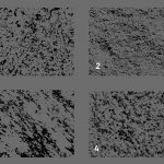Granite Texture Overlays Preview 1