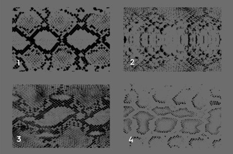 20 Snake Leather Texture Overlays Header 1