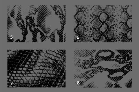 20 Snake Leather Texture Overlays Header 2