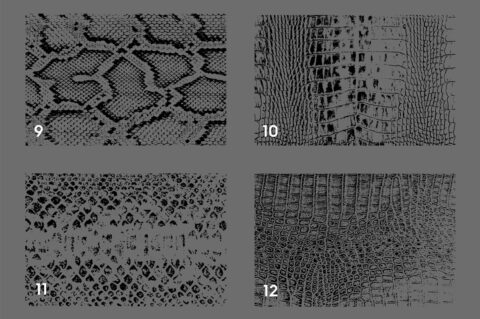 20 Snake Leather Texture Overlays Header 3