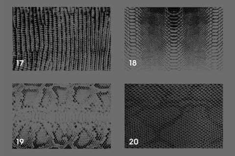 20 Snake Leather Texture Overlays Header 5