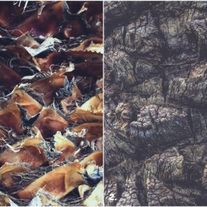 29 Palm Bark Textures & Backgrounds