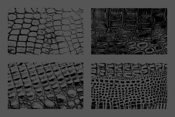 Crocodile Leather Texture Overlays Preview Set 2
