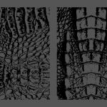 Crocodile Leather Texture Overlays Preview Set 3