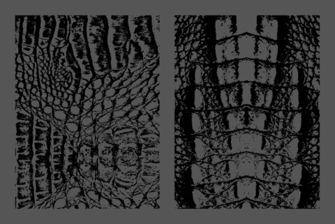 Crocodile Leather Texture Overlays Preview Set 3