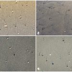10-Pebbles-On-The_Sand-Backgrounds-Preview-1