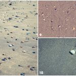 10-Pebbles-On-The_Sand-Backgrounds-Preview-3