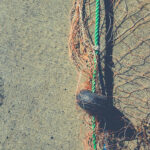 Fishnet with buoy on rope. Nautical marine background.
