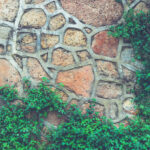 Rocky cobblestones wall texture with green plants. Stone background.
