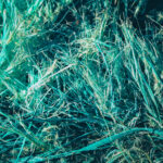 Nautical marine background. Sea sling fibers texture. Macro closeup.