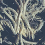 Crumpled sea sling fibers. Nautical marine background. Macro closeup.
