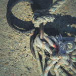 Iron mooring rings. Concrete pier surface. Lots of rope knots leading to moored boats.