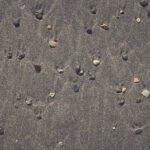 Different stones with stains on the wet sand. Rare pebble background. Beach beauty backdrop.