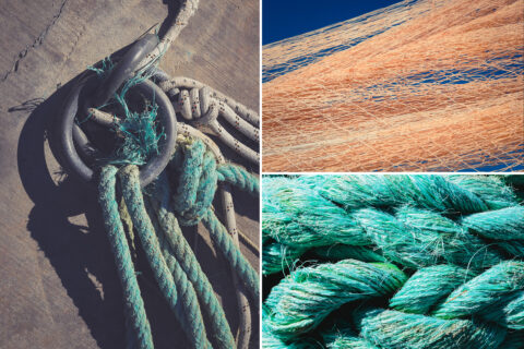 Marina Backgrounds Preview Set 3
