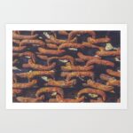 Old Rusty Chains Prints