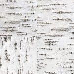 12-Birch-Bark-Textures-Preview-3