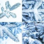 13-Blue-Christmas-Tree-Background-Textures-Preview-3