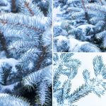 13-Blue-Christmas-Tree-Background-Textures-Preview-4
