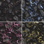 10 Energy Rock Background Textures. Seamless Transition. Preview Set 1.