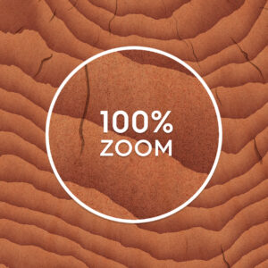 10 Wood Saw Cut Background Textures Preview