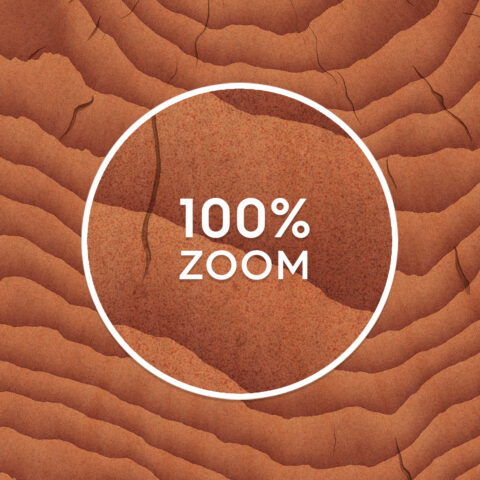 10 Wood Saw Cut Background Textures Preview