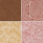 10 Wood Saw Cut Background Textures Preview