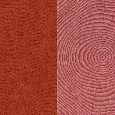10 Wood Saw Cut Background Textures Preview