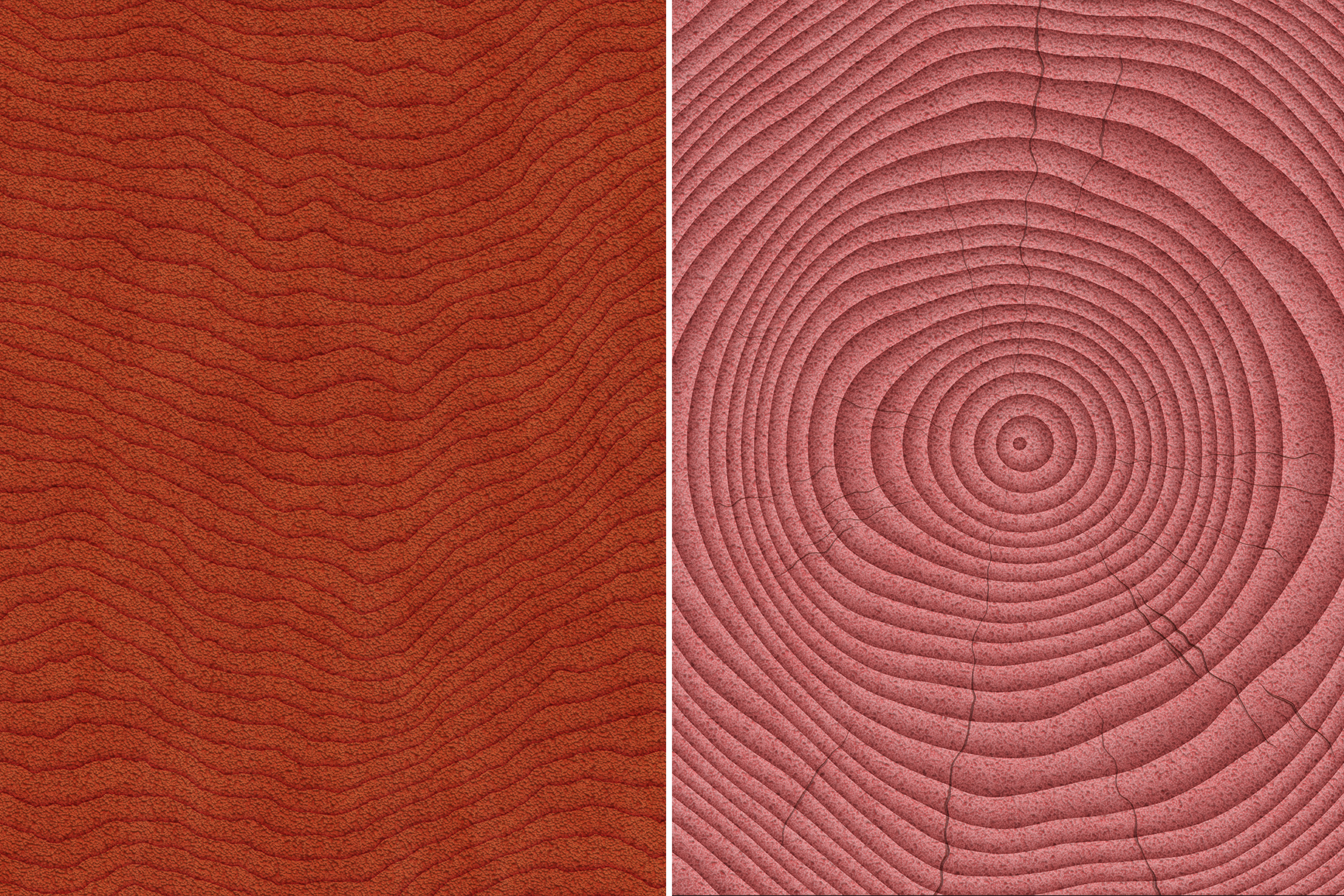 10 Wood Saw Cut Background Textures Preview