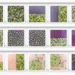 Olivine Background Textures Showcase Shelves Samples Preview