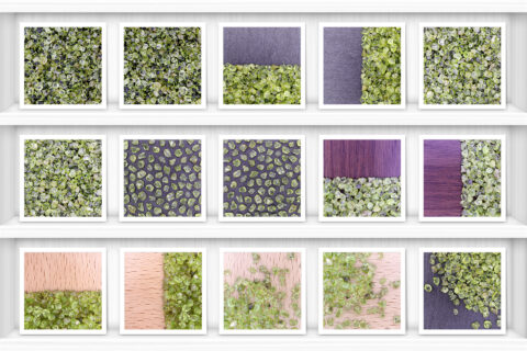 Olivine Background Textures Showcase Shelves Samples Preview
