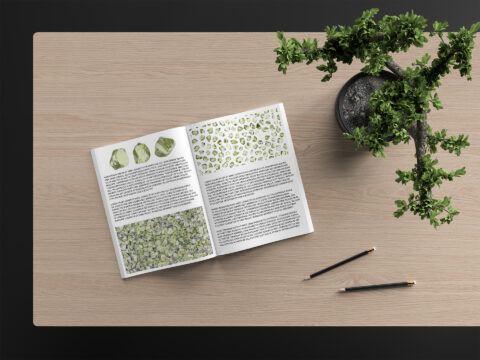 Olivine Background Textures Modern Magazine Article Illustrations Preview