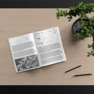 Clear Quartz Background Textures Modern Magazine Article Illustrations Preview