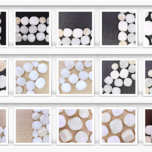 Tridacna Background Textures Showcase Shelves Samples Preview