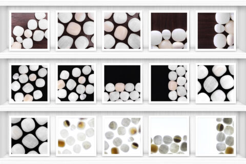 Tridacna Background Textures Showcase Shelves Samples Preview