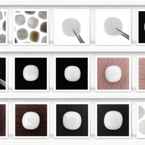 46 Tridacna Background Textures - Image 2