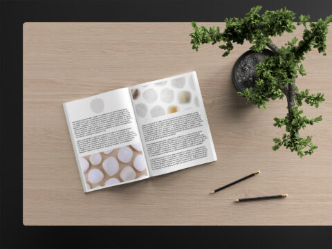 Tridacna Background Textures Modern Magazine Article Illustrations Preview